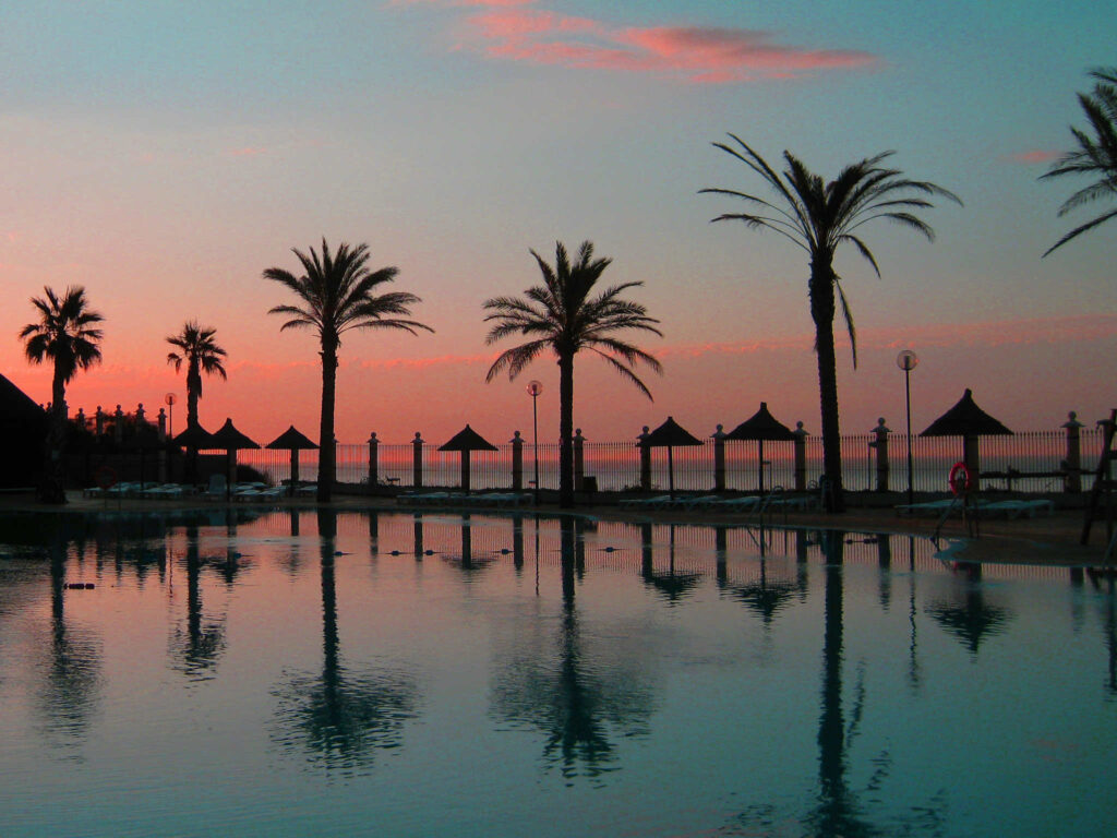 Costa del Sol palmy