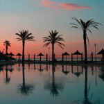 Costa del Sol palmy